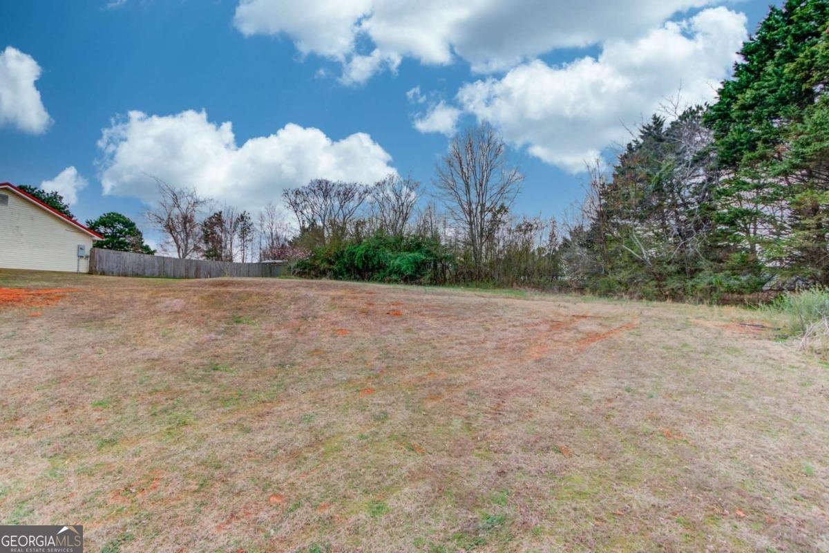 49 Stoneview Drive Hoschton - 24