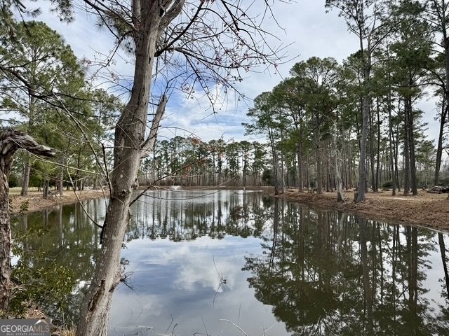 2932 Clough Bay Road Waycross - 99