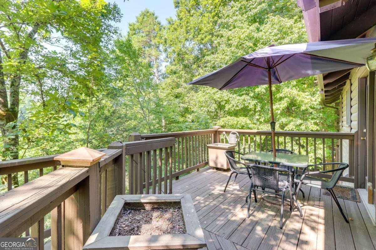 223 Novena Court Ellijay - 3