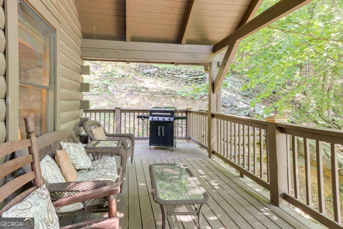 223 Novena Court Ellijay - 4