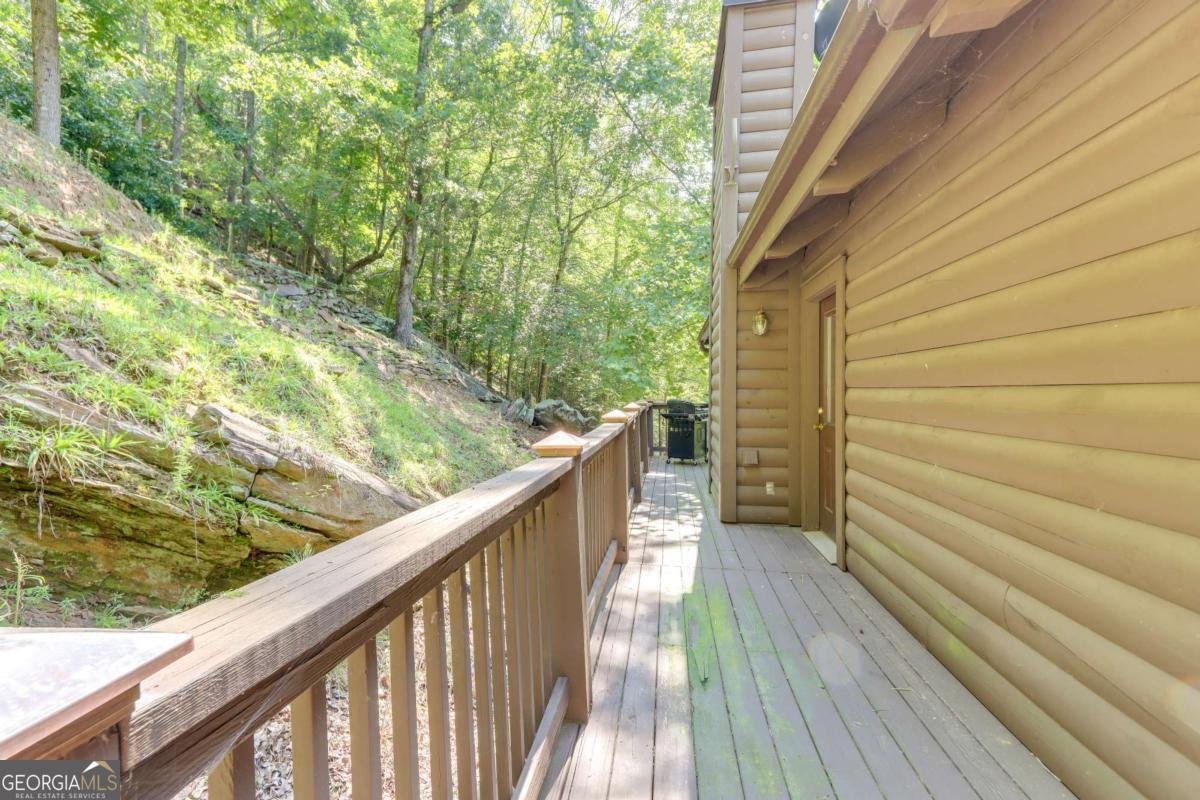 223 Novena Court Ellijay - 6