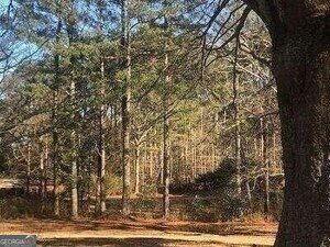 3415 Lake Carlton Road Loganville - 11