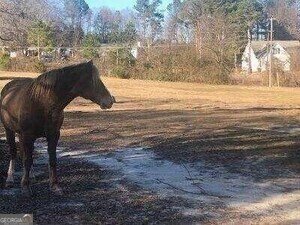3415 Lake Carlton Road Loganville - 12