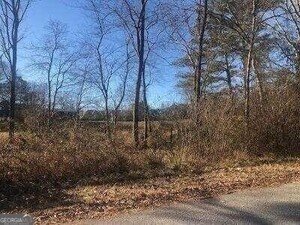 3415 Lake Carlton Road Loganville - 13