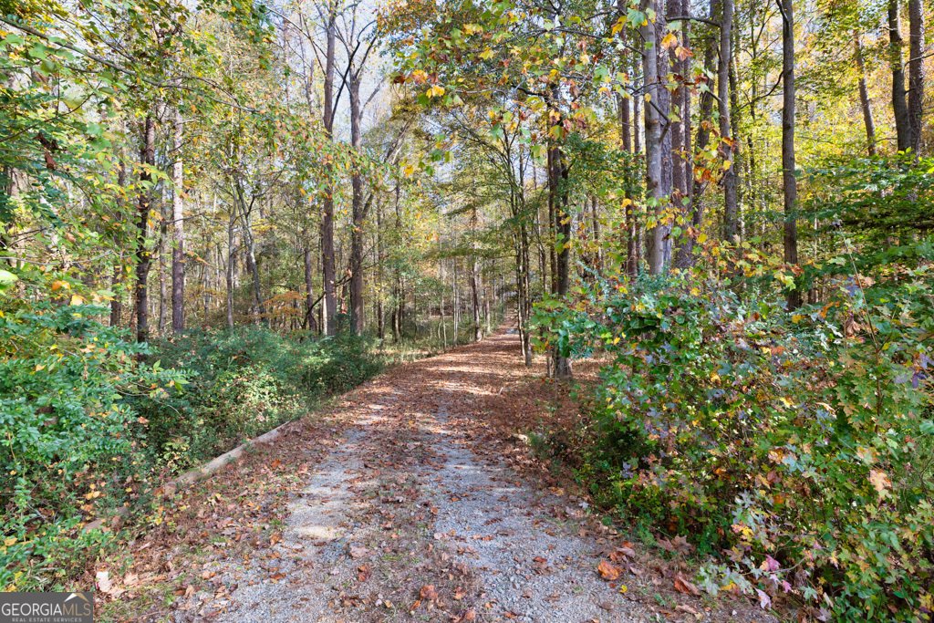 902 Grove Level Road Maysville - 44