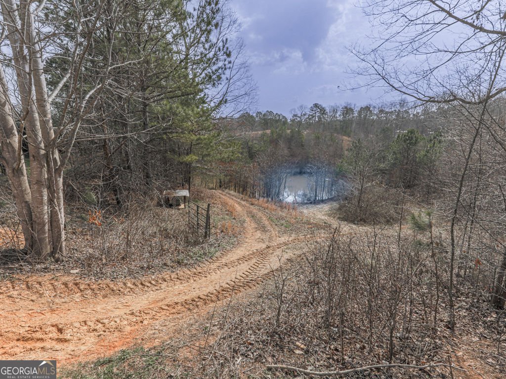 2810 Little Refuge Road Road Waleska - 17