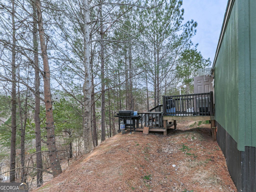 2810 Little Refuge Road Road Waleska - 25