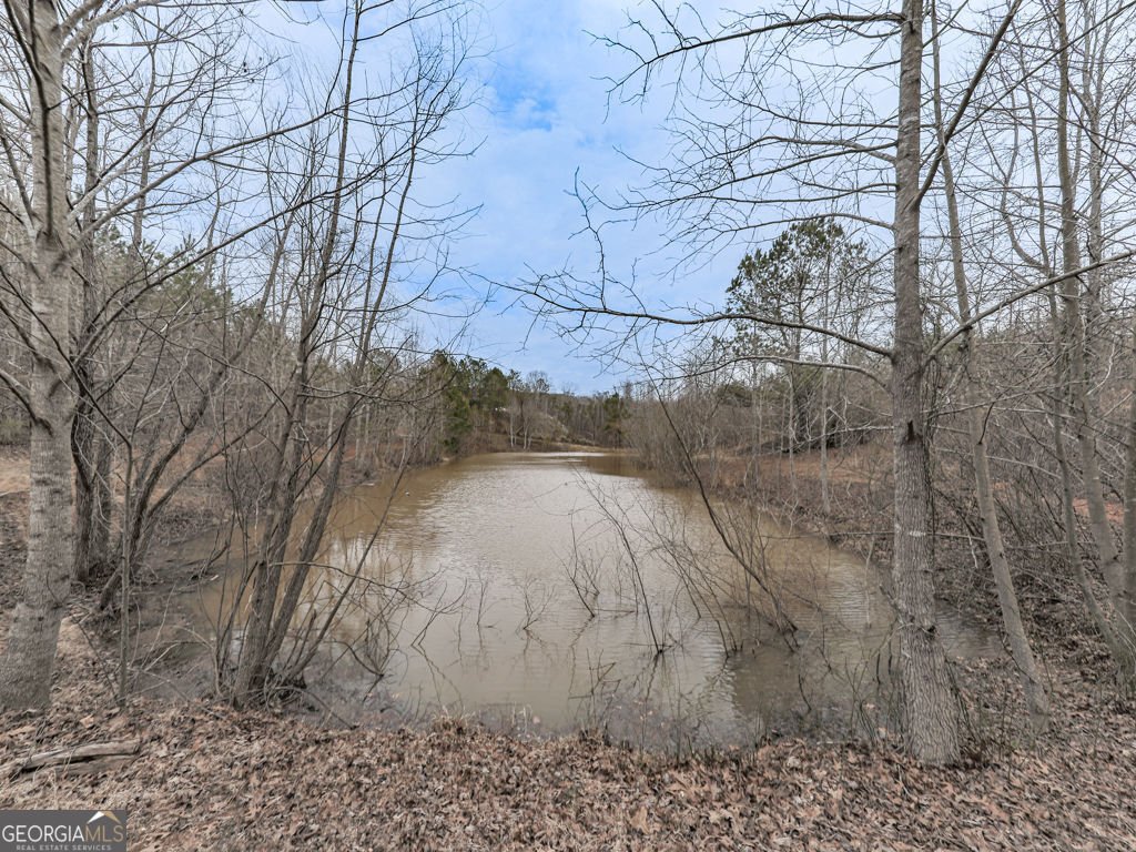 2810 Little Refuge Road Road Waleska - 26