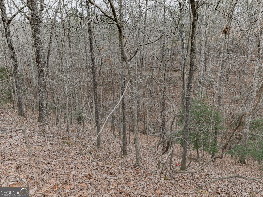 2810 Little Refuge Road Road Waleska - 34