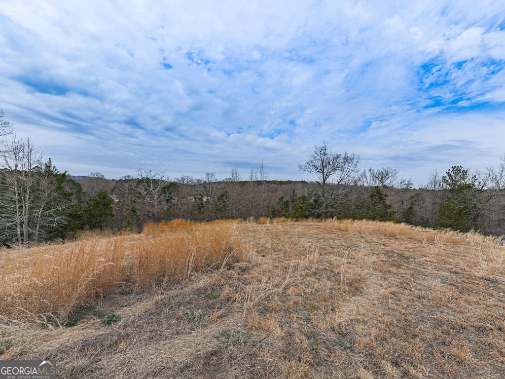 2810 Little Refuge Road Road Waleska - 38