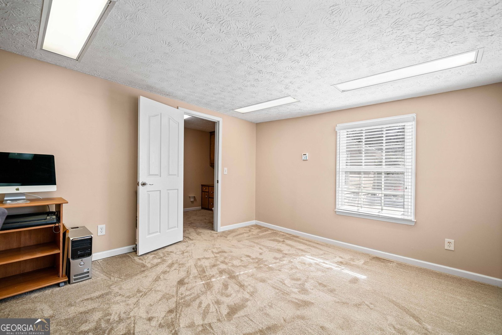 444 Pineview Drive Canton - 12