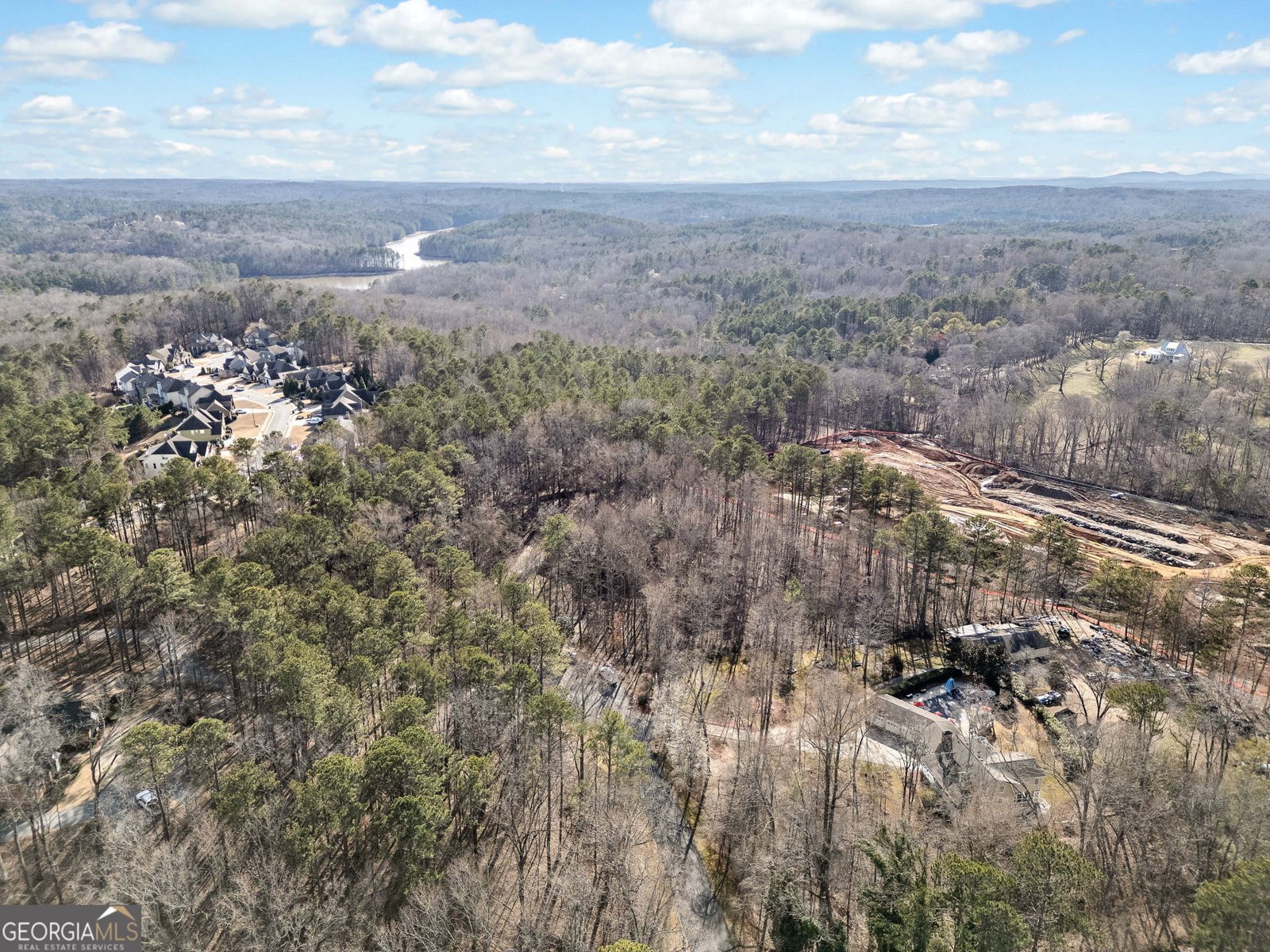 444 Pineview Drive Canton - 59
