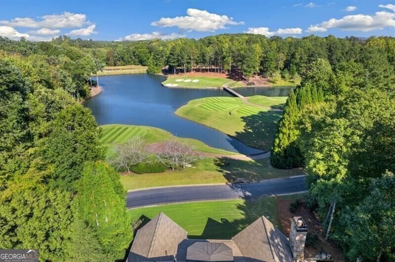 230 Hawks Lake Drive Ball Ground - 3