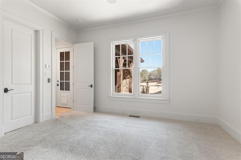 230 Hawks Lake Drive Ball Ground - 47