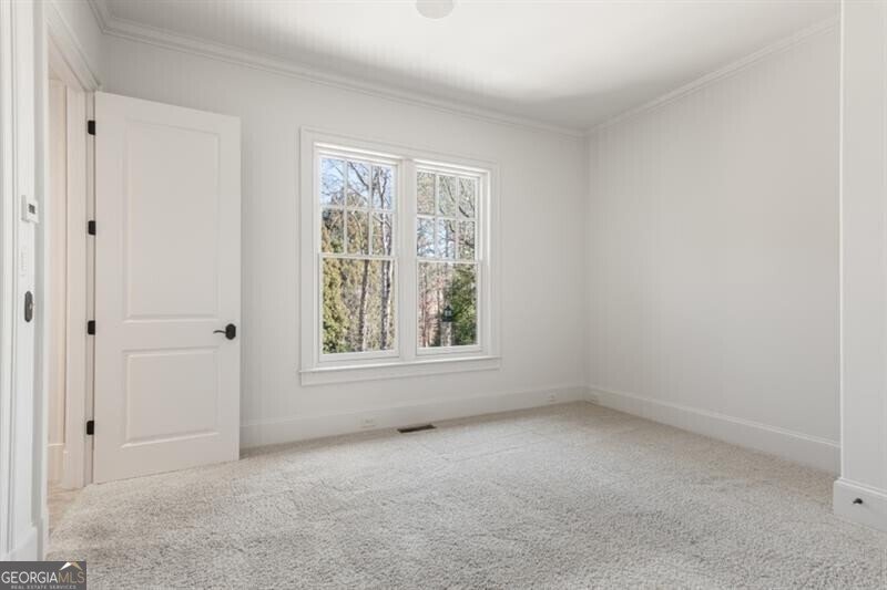 230 Hawks Lake Drive Ball Ground - 48