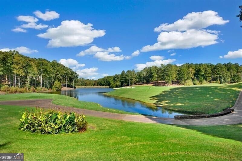 230 Hawks Lake Drive Ball Ground - 82