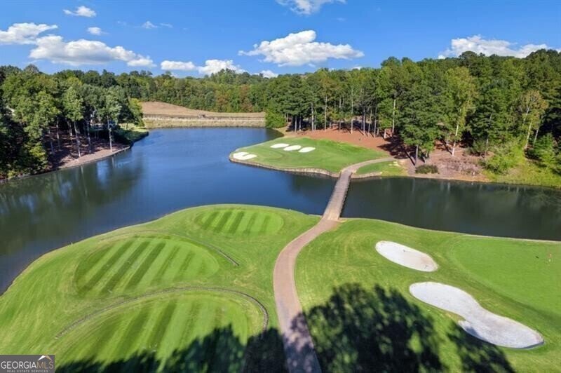 230 Hawks Lake Drive Ball Ground - 84