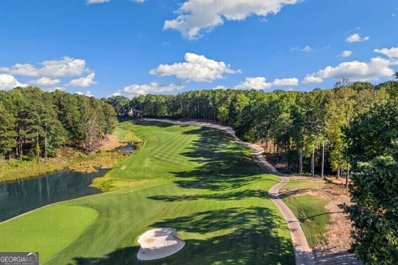 230 Hawks Lake Drive Ball Ground - 85