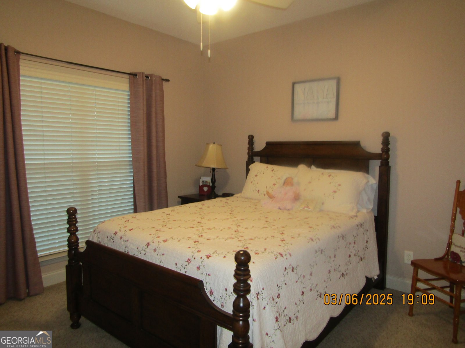 503 Mica Court Statesboro - 18