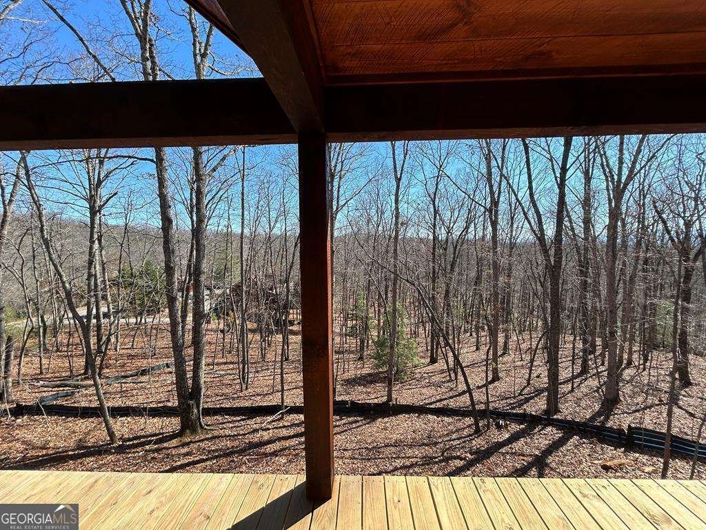 117 Stuart Ridge Road Mineral Bluff - 26