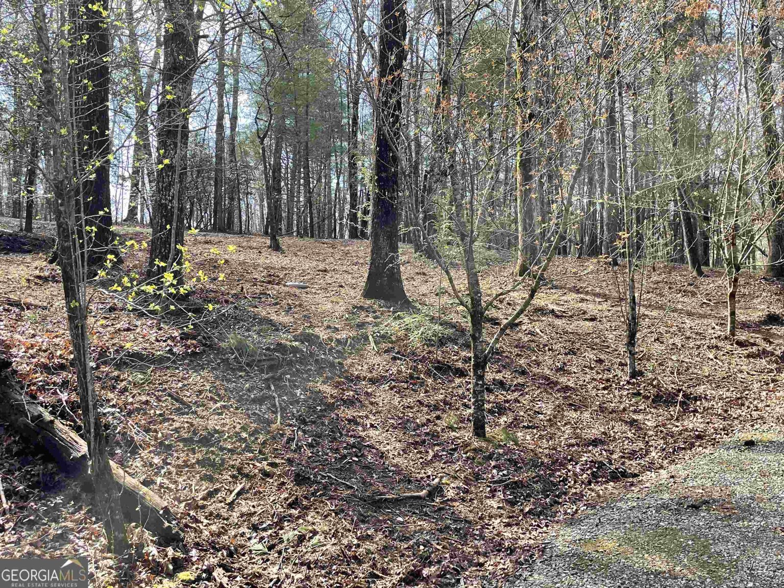 11 Ivy Overlook Epworth - 6