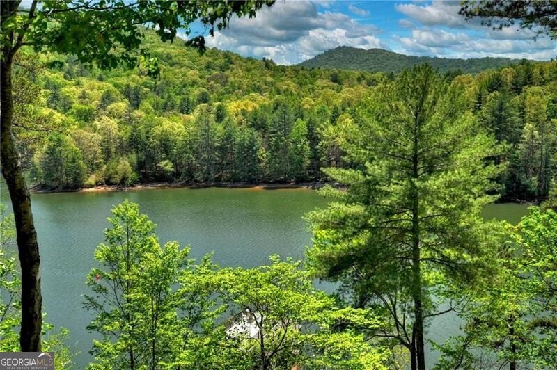 670 Magnolia Drive Blue Ridge - 23