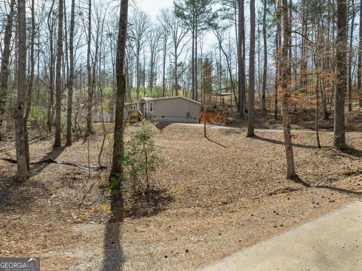 172 Rose Wood Lane Ellijay - 4