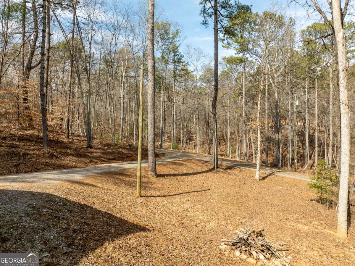 172 Rose Wood Lane Ellijay - 7