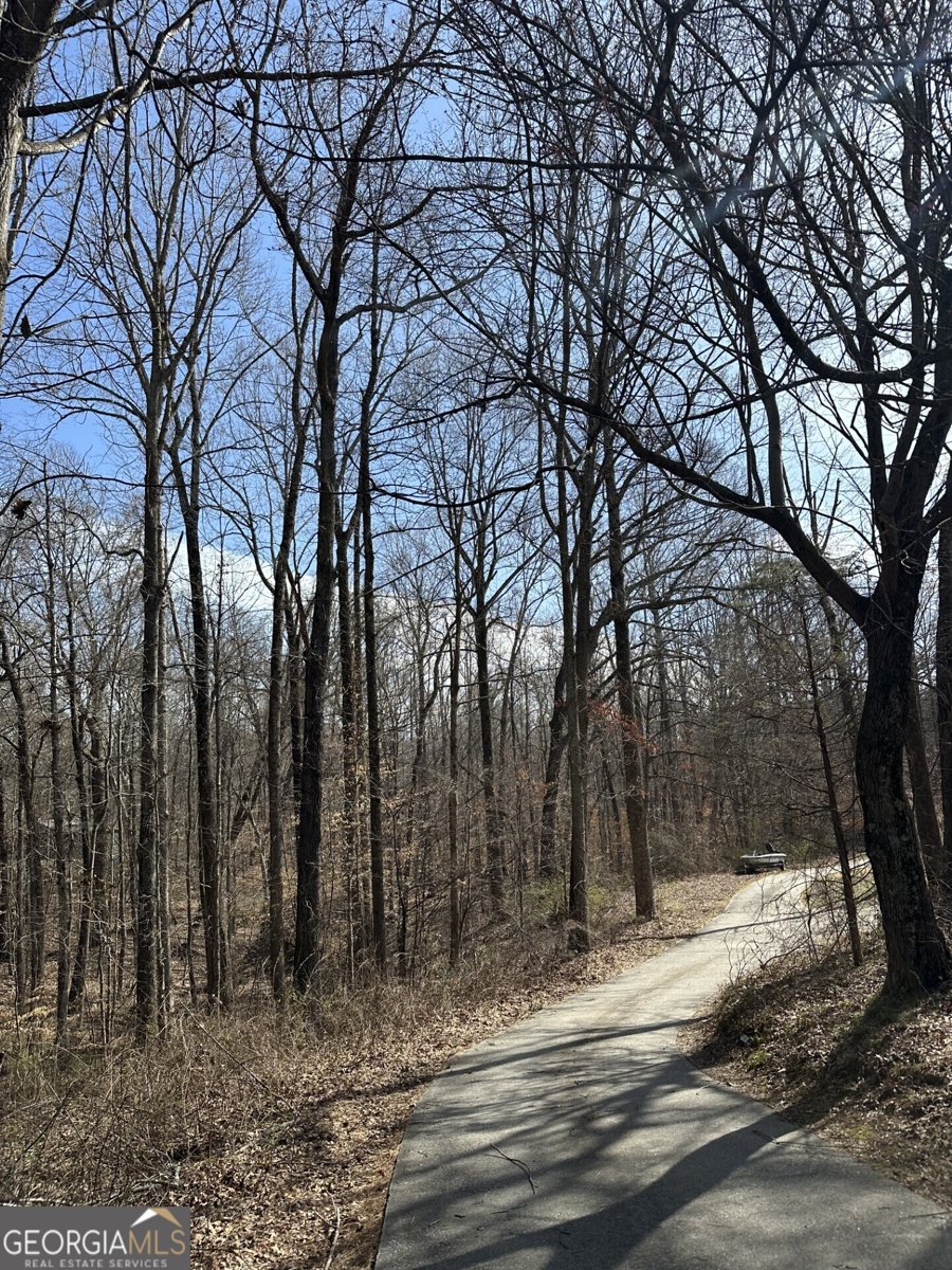 5565 Hog Mountain Road Flowery Branch - 2