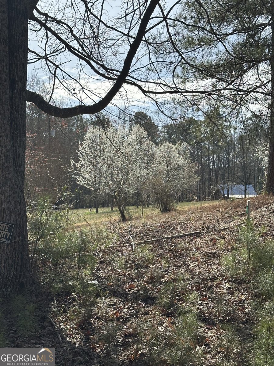 5565 Hog Mountain Road Flowery Branch - 5