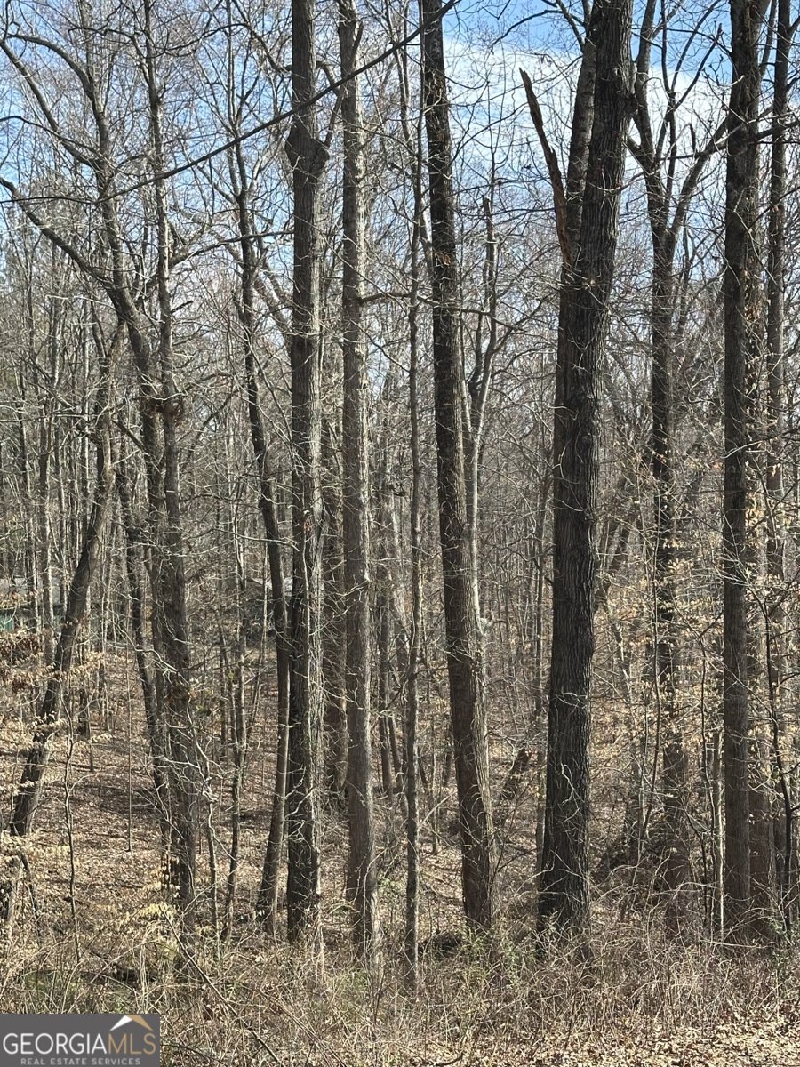 5565 Hog Mountain Road Flowery Branch - 6