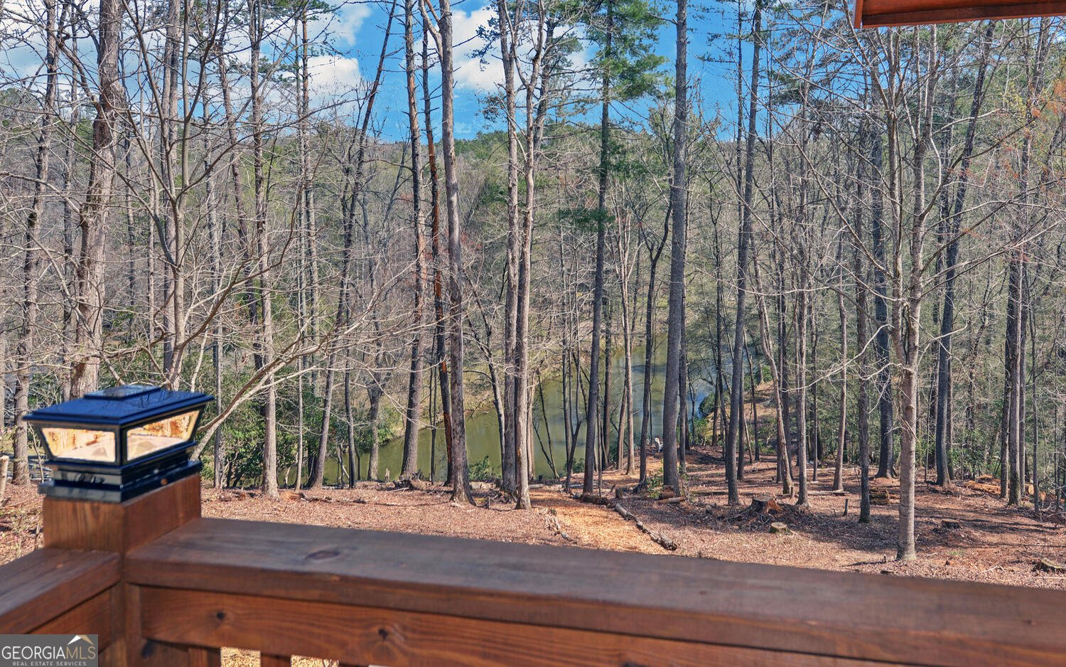 10 Lemmon Lane Ellijay - 1