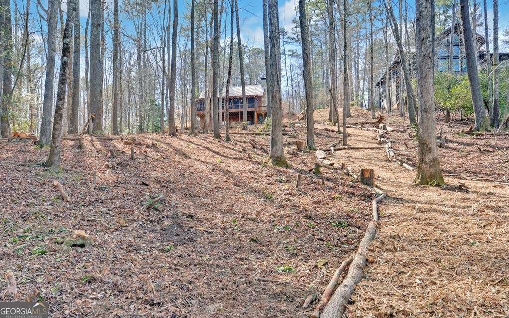 10 Lemmon Lane Ellijay - 34