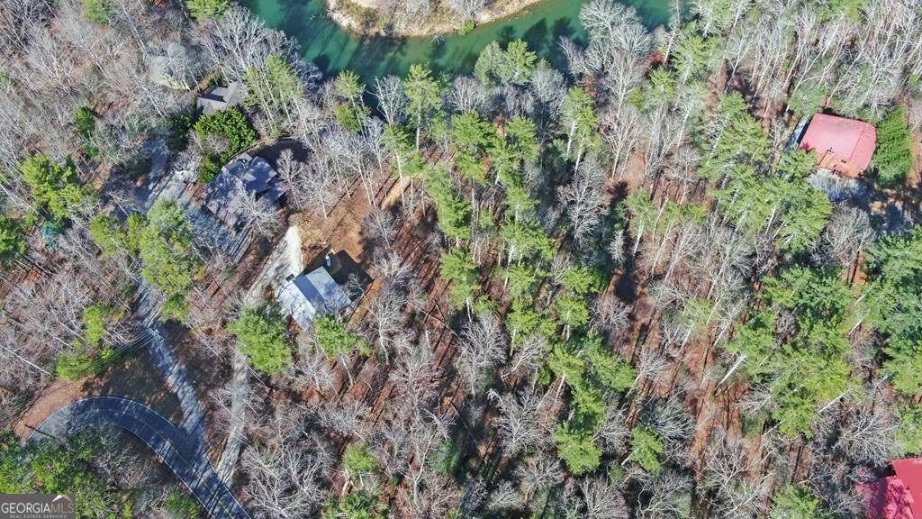 10 Lemmon Lane Ellijay - 37