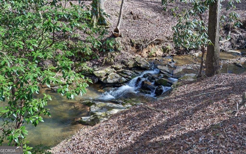 10 Lemmon Lane Ellijay - 38