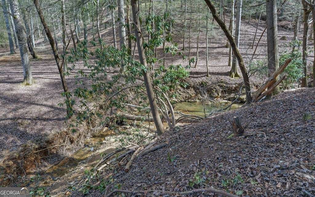 10 Lemmon Lane Ellijay - 39