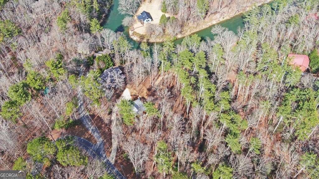 10 Lemmon Lane Ellijay - 40