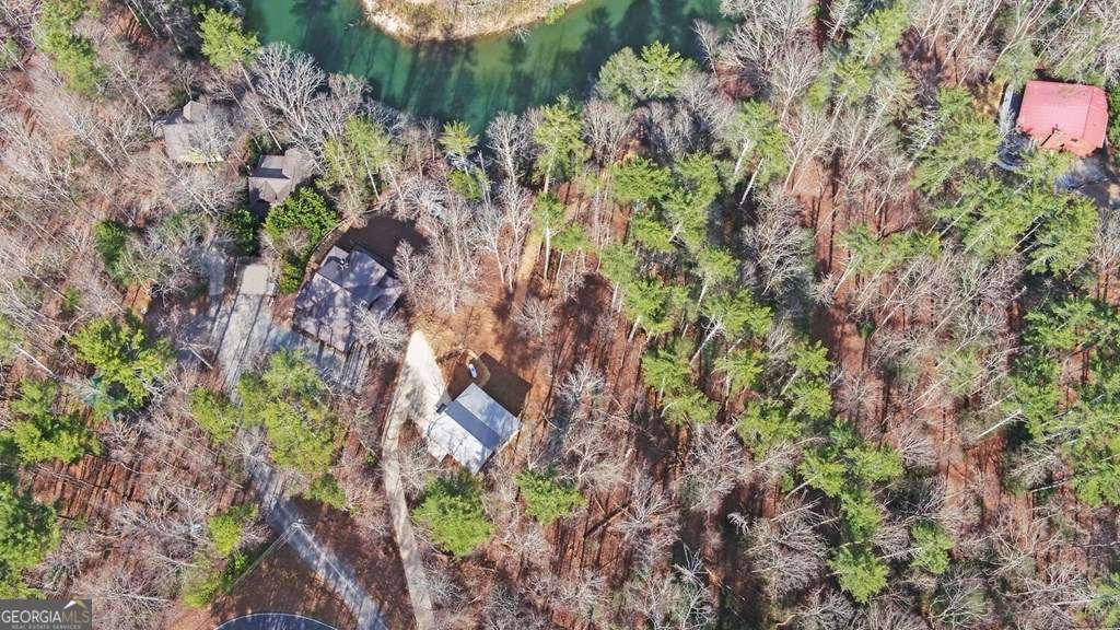 10 Lemmon Lane Ellijay - 41