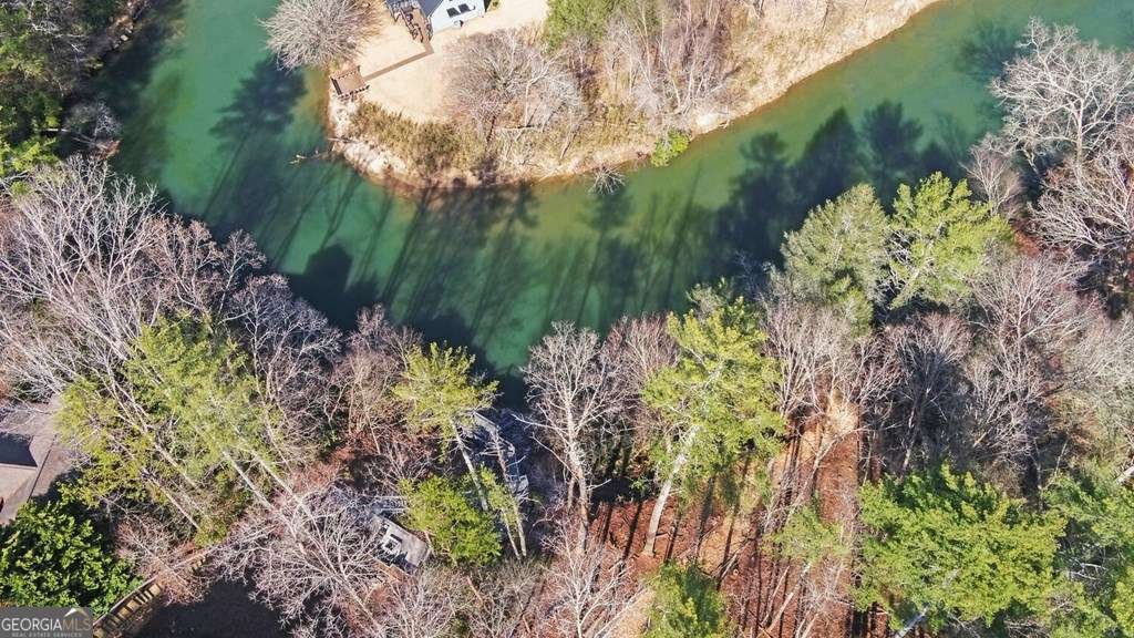10 Lemmon Lane Ellijay - 43