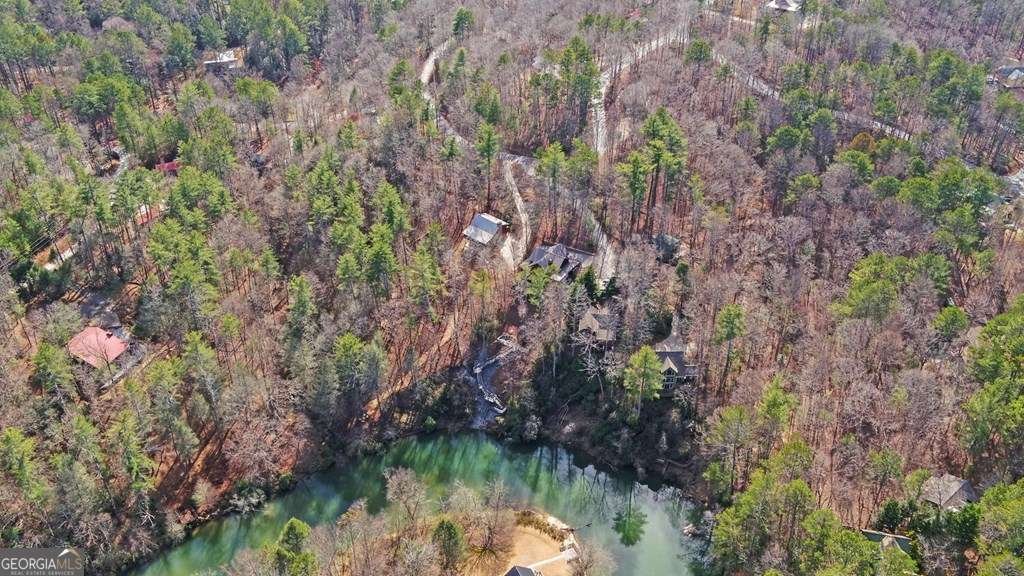 10 Lemmon Lane Ellijay - 44