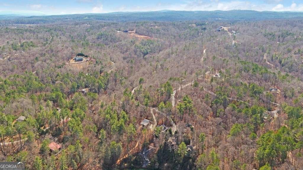 10 Lemmon Lane Ellijay - 45