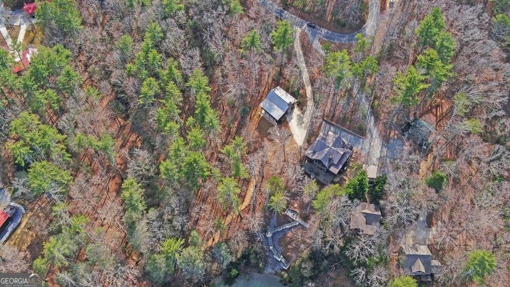 10 Lemmon Lane Ellijay - 46