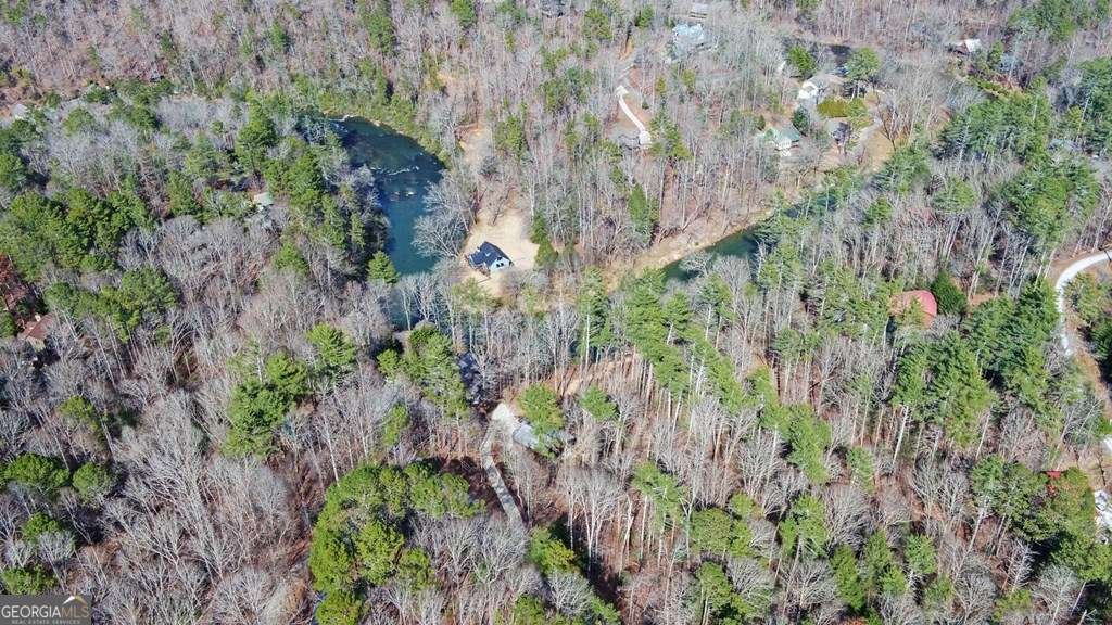 10 Lemmon Lane Ellijay - 48