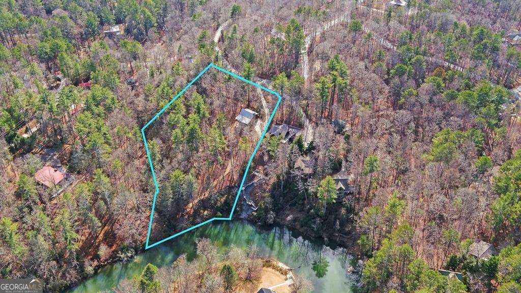 10 Lemmon Lane Ellijay - 50