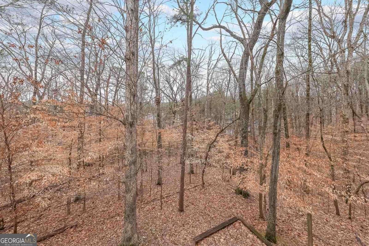 3865 Whitney Place Duluth - 35