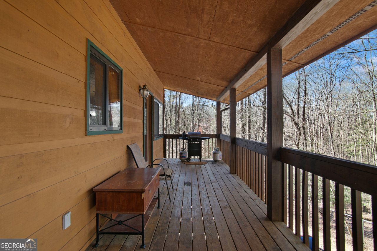 1408 Newport Drive Ellijay - 38
