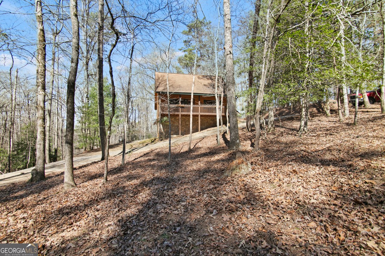 1408 Newport Drive Ellijay - 4