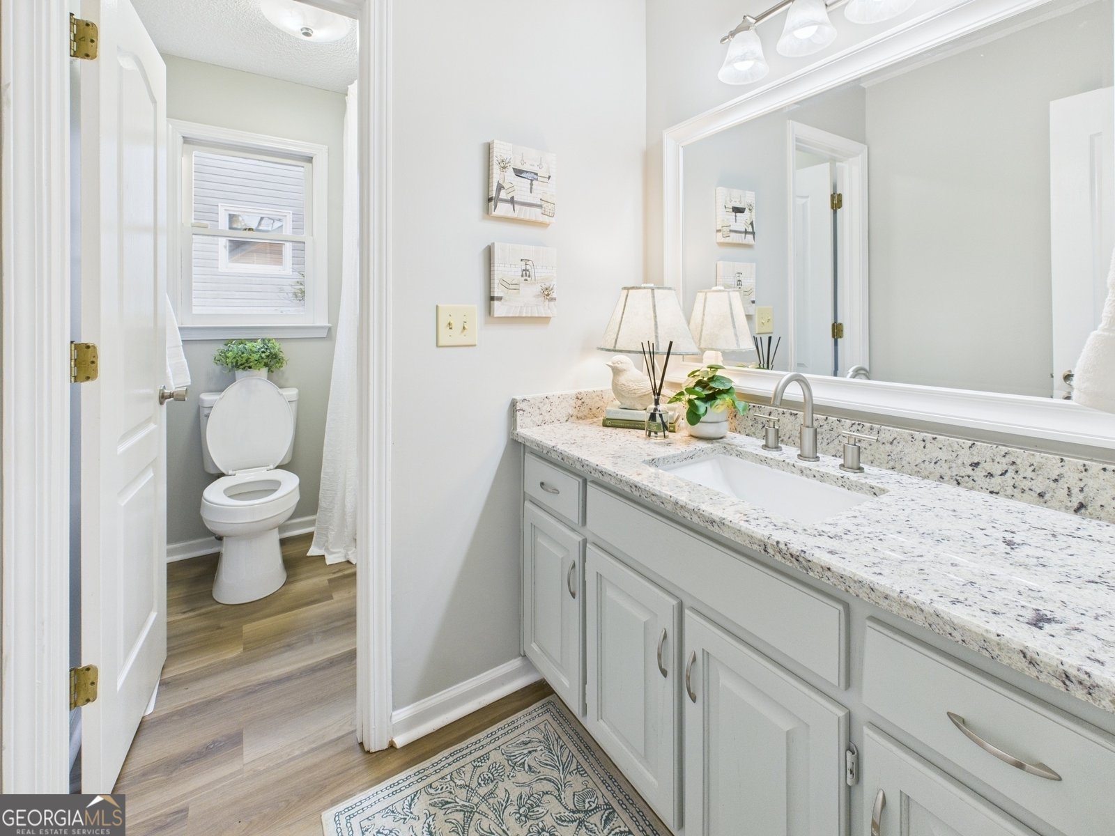 314 Chadwick Court Macon - 35