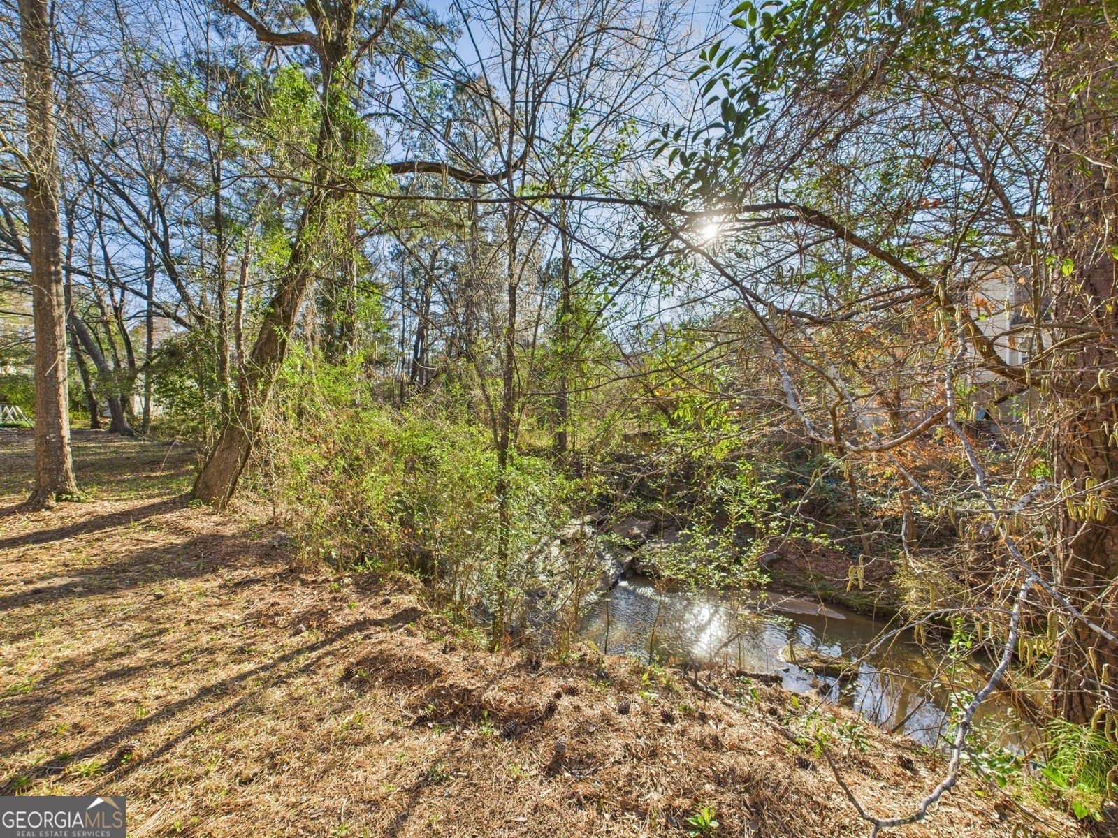 314 Chadwick Court Macon - 46