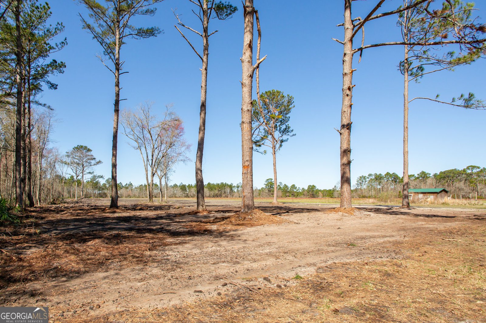 524 Smith Road Waycross - 9